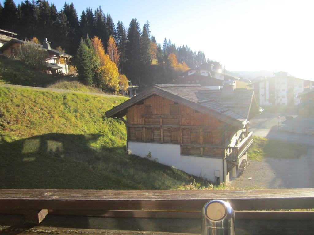 Les Gets Le Grand Paradis Cameră foto